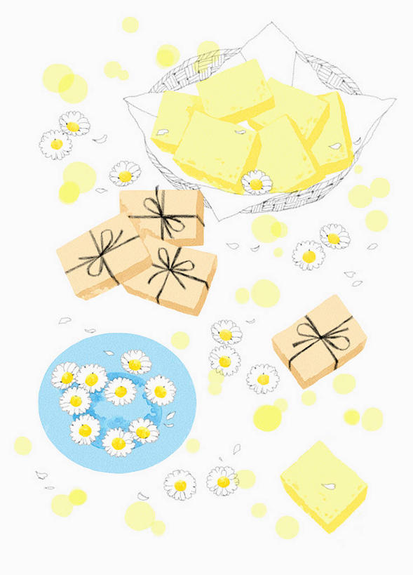 无人,交叉,竖图,室内,白天,白色背景,正面,化妆,美容,绘画,地铁,竹子,护肤,竹制,艺术,盛开,编织,包装,包装纸,篮子,丝绸,丝带,纸,缎带,纸张,轨道交通,古典,花蕾,文化,绸带,花,花瓣,花朵,鲜花,蝴蝶结,化妆品,竹篮,肥皂,工艺品,香皂,日用品,洗浴用品,花苞,花蕊,品味,清洁,保养,享受,休闲,放松,保健,竹条,捆绑,交织,美术,水彩,水彩画,包装材料,高雅,竹制品,护肤品,化妆用品,护肤用品,舒缓,养颜,去污,紧肤,嫩肤,美学,绑缚,穿插,洗涤,彩图,地铁机动车,地下铁,轻轨