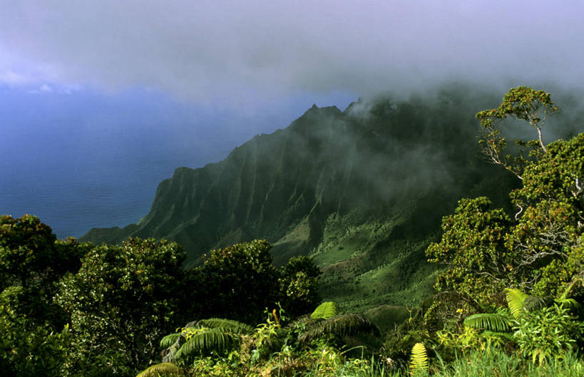 无人,公园,横图,俯视,室外,白天,旅游,度假,岛屿,美景,山,山脉,树林,植物,雾,夏威夷,美国,朦胧,模糊,景观,山峰,乌云,云,阴天,云朵,山峦,云彩,娱乐,树,树木,绿色,天空,自然,群山,天,享受,休闲,景色,放松,生长,成长,迷雾,北美,北美洲,昏暗,阴沉,自然风光,美洲,夏威夷州,爱洛哈之州,可爱岛,考艾岛,考爱岛,纳帕利海岸州立公园,北亚美利加洲,亚美利加洲,花园之岛,列岛,群岛,诸岛,大雾,彩图,高角度拍摄,美利坚合众国