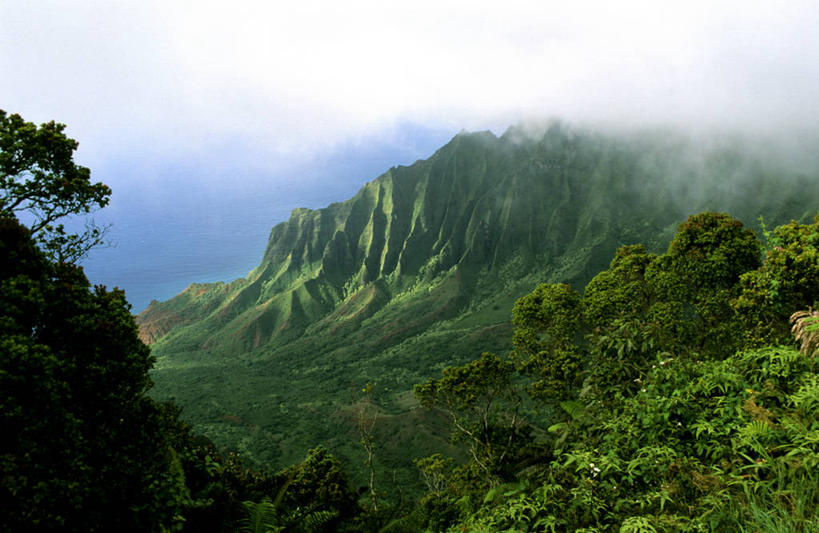 无人,公园,横图,俯视,室外,白天,旅游,度假,岛屿,美景,山,山脉,树林,植物,雾,夏威夷,美国,朦胧,模糊,景观,山峰,乌云,云,阴天,云朵,山峦,云彩,娱乐,树,树木,绿色,天空,自然,群山,天,享受,休闲,景色,放松,生长,成长,迷雾,北美,北美洲,昏暗,阴沉,自然风光,美洲,夏威夷州,爱洛哈之州,可爱岛,考艾岛,考爱岛,纳帕利海岸州立公园,北亚美利加洲,亚美利加洲,花园之岛,列岛,群岛,诸岛,大雾,彩图,高角度拍摄,美利坚合众国