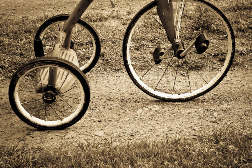 无人,横图,俯视,室外,特写,白天,植物,一辆,阴影,枯萎,朦胧,模糊,光线,影子,三轮车,枯草,车,脚踏车,草,黄色,黑色,阳光,轮胎,交通工具,橡胶,载具,儿童车,橡胶制品,车胎,彩图,高角度拍摄,外胎,儿童三轮车