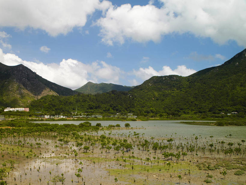 无人,横图,室外,白天,正面,旅游,度假,草地,草坪,石头,美景,山,山脉,树林,植物,香港,中国,亚洲,阴影,光线,石子,影子,景观,山顶,山峰,云,云朵,山峦,云彩,娱乐,草,树,树木,蓝色,绿色,白云,蓝天,天空,阳光,自然,群山,天,享受,休闲,景色,放松,生长,晴朗,成长,港,沼泽,自然风光,东亚,新界,沉积岩,大屿山,香港特别行政区,港澳台,中华人民共和国,颠峰,极峰,大濠岛,荃湾区,水成岩,石块,岩石,晴空,彩图