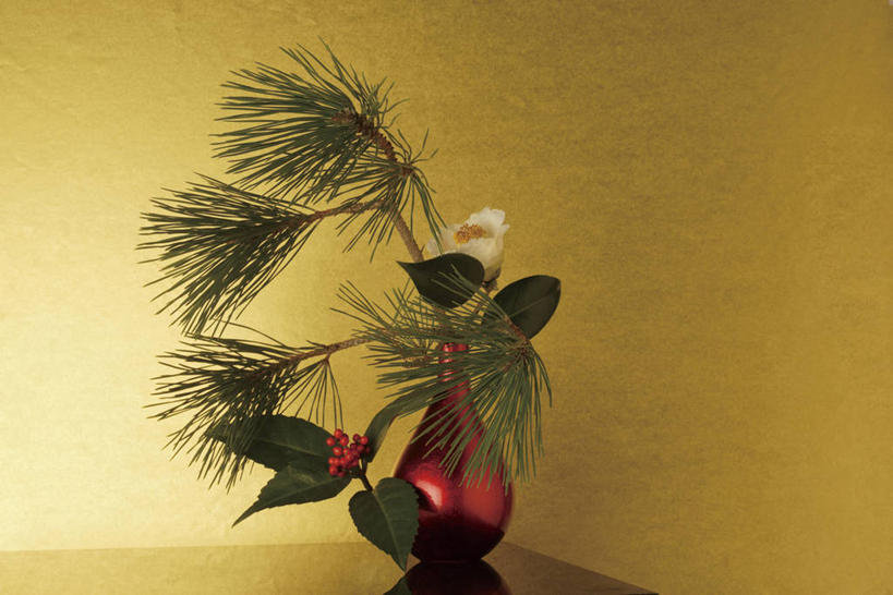 无人,横图,室内,特写,白天,正面,桌面,桌子,山茶花,松树,花瓶,叶子,阴影,盛开,反射,木制,影子,陶瓷,木桌,墙,绿叶,陶瓷制品,花蕾,墙壁,墙面,花,花瓣,花朵,鲜花,黄色,木制品,瓶子,花苞,花蕊,嫩叶,坚定,玉茗花,耐冬,长寿,海石榴,贞洁,茶花,叶,叶片,彩图,木桌子