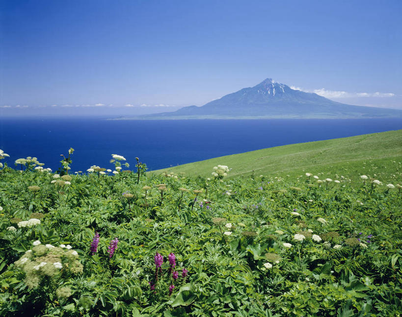 无人,横图,室外,白天,正面,旅游,度假,岛屿,海浪,海洋,花海,花圃,美景,山,雪,雪山,植物,大雪,叶子,北海道,日本,亚洲,阴影,盛开,光线,影子,冰,岛,积雪,景观,浪花,山峰,雪景,云,云朵,冬季,冬天,山峦,花蕾,云彩,娱乐,花,花瓣,花朵,花卉,鲜花,蓝色,绿色,白云,蓝天,天空,阳光,自然,海水,花丛,花束,花田,天,花苞,花蕊,享受,休闲,景色,放松,寒冷,晴朗,冰冷,自然风光,海景,东亚,日本国,北海道地方,北海道岛,严寒,冰凉,酷寒,凛冽,凛凛,极冷,大海,风浪,海,海水的波动,近岸浪,列岛,群岛,涌浪,诸岛,晴空,彩图,振兴局,礼文岛,礼文郡,礼文町,宗谷综合振兴局