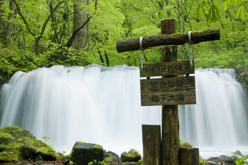 无人,横图,室外,白天,正面,旅游,度假,美景,瀑布,森林,树林,水,植物,指示牌,日本,亚洲,阴影,飞溅,溅,光线,日文,标志,路标,文字,液体,影子,字符,景观,水滴,娱乐,标识,路牌,水珠,树,树木,绿色,阳光,自然,享受,休闲,景色,放松,生长,成长,喷洒,自然风光,东亚,本州,本州岛,日本国,青森,青森县,东北地方,日语,奥入濑溪谷,十和田市,十和田,跌水,彩图