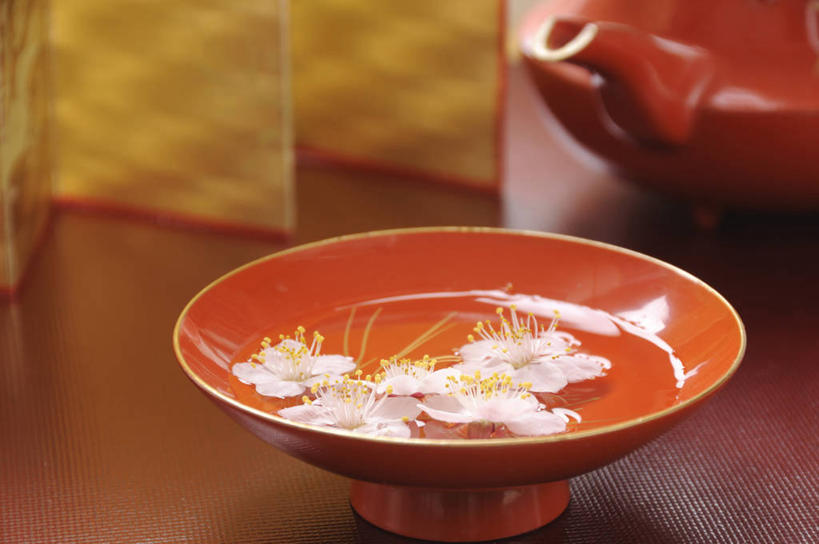 无人,横图,俯视,室内,特写,白天,幸福,餐桌,茶,家具,屏风,桌子,杯子,阴影,朦胧,模糊,盛开,反射,壶,影子,陶瓷,茶叶,梅花,陶瓷制品,饮品,花蕾,娱乐,水壶,花,花瓣,花朵,鲜花,茶壶,容器,水杯,花茶,花苞,花蕊,享受,休闲,温馨,放松,乐趣,保健,养生,餐台,协调,花草茶,高雅,舒适,遮挡,坚强,分隔,香花茶,香片,熏花茶,美化,春梅,梅,茶杯,彩图,高角度拍摄