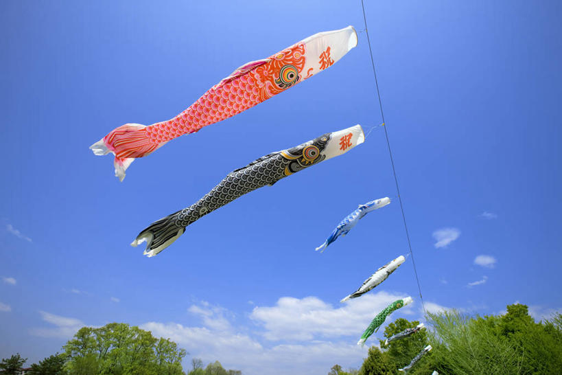 无人,横图,室外,白天,仰视,美景,植物,旗帜,日本,亚洲,一排,许多,阴影,节日,庆祝,整齐,并列,并排,飘扬,光线,鲤鱼旗,影子,景观,云,云朵,很多,云彩,文化,旗子,树,树木,排列,蓝色,绿色,白云,蓝天,天空,阳光,自然,天,祈福,庆典,景色,生长,晴朗,成长,纪念,飘逸,祈求,队列,自然风光,飞扬,平行,东亚,本州,关东地方,本州岛,日本国,群马,群马县,旌旗,旗号,鲤鱼节,男孩节,日本男孩节,子供之日,鲤帜,晴空,彩图,低角度拍摄