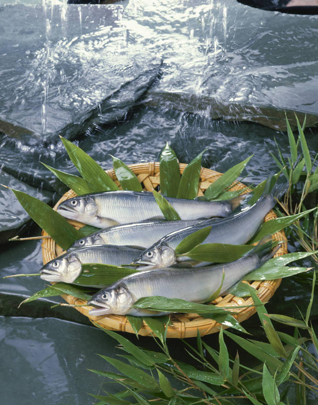 无人,交叉,竖图,俯视,室外,白天,河流,石头,水,植物,竹子,叶子,阴影,竹制,编织,光线,鱼,篮子,石子,纹理,影子,河水,水流,绿叶,香鱼,水产,鱼类,一个,绿色,小溪,阳光,竹篮,溪水,嫩叶,五条,单个,竹条,交织,竹制品,水生动物,水生物,肌理,穿插,瓜鱼,香油鱼,叶,叶片,叶脉,石块,岩石,彩图,高角度拍摄,全身,淡水生物,河鲜