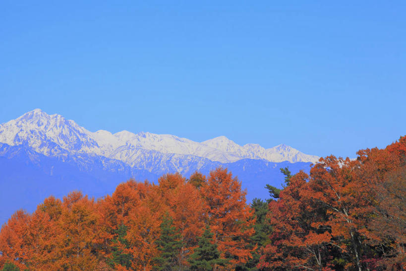 无人,横图,室外,白天,正面,旅游,度假,美景,秋季,山,树林,雪,雪山,植物,大雪,长野县,富山县,日本,亚洲,阴影,光线,影子,冰,积雪,景观,山峰,雪景,冬季,冬天,山峦,娱乐,树,树木,蓝色,绿色,蓝天,天空,阳光,自然,天,享受,休闲,景色,放松,寒冷,生长,晴朗,成长,冰冷,自然风光,东亚,本州,万里无云,本州岛,日本国,中部地方,岐阜,岐阜县,长野,新潟,新潟县,严寒,冰凉,酷寒,凛冽,凛凛,极冷,富山,晴空,晴空万里,秋,秋天,彩图,北阿尔卑斯山,飞驒山脉
