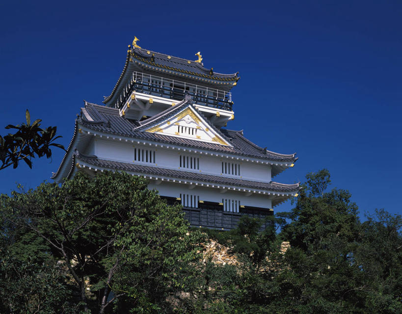 无人,横图,室外,白天,仰视,旅游,度假,名胜古迹,植物,标志建筑,地标,建筑,日本,亚洲,阴影,遗迹,光线,影子,堡垒,城堡,古迹,文物,娱乐,建设,古建筑,树,树木,蓝色,绿色,蓝天,天空,阳光,自然,天,享受,休闲,旅游胜地,放松,生长,晴朗,成长,要塞,古文明,东亚,本州,万里无云,本州岛,日本国,中部地方,岐阜,岐阜县,设防,美浓,美浓国,晴空,晴空万里,彩图,低角度拍摄,岐阜城