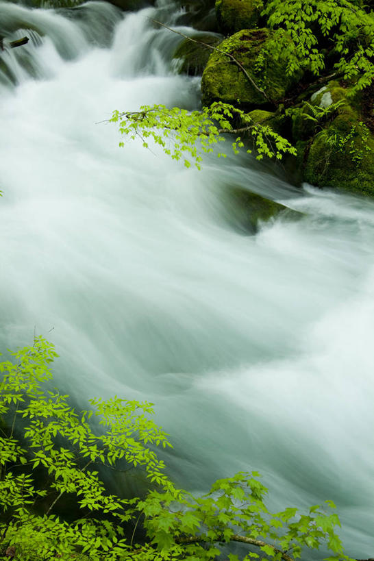 无人,竖图,俯视,室外,白天,旅游,度假,河流,石头,美景,水,植物,日本,亚洲,朦胧,模糊,石子,河水,景观,水流,娱乐,树,树木,绿色,小溪,自然,溪水,享受,休闲,景色,放松,生长,成长,自然风光,东亚,本州,本州岛,日本国,青森,青森县,东北地方,奥入濑溪谷,十和田市,十和田,石块,岩石,彩图,高角度拍摄