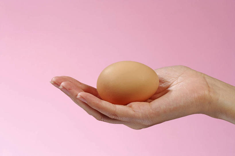 东方人,手,一个人,捧,横图,室内,特写,白天,侧面,亚洲,仅一个年轻女性,仅一个女性,仅一个人,粉色背景,蛋,鸡蛋,一颗,黄种人,手部,摄影,影棚,单手,草鸡蛋,卵,年轻女性,女人,女性,亚洲人,端,端着,捧着,手捧,半身,彩图,影棚拍摄,拍摄,本鸡蛋,笨鸡蛋,柴鸡蛋,山鸡蛋,土鸡蛋