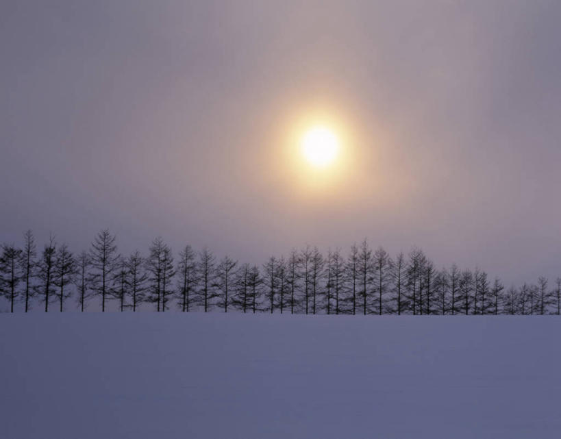 无人,横图,室外,白天,正面,旅游,度假,日出,美景,树林,太阳,雪,植物,大雪,北海道,日本,亚洲,一排,阴影,整齐,光线,影子,积雪,景观,雪景,冬季,冬天,朝霞,晨曦,黎明,娱乐,树,树木,排列,绿色,阳光,自然,享受,休闲,景色,放松,寒冷,生长,成长,队列,自然风光,东亚,日本国,北海道地方,北海道岛,严寒,朝阳,彩图,卯时,破晓,日始,鄂霍次克综合振兴局,网走郡,大空町,道东,网走支厅