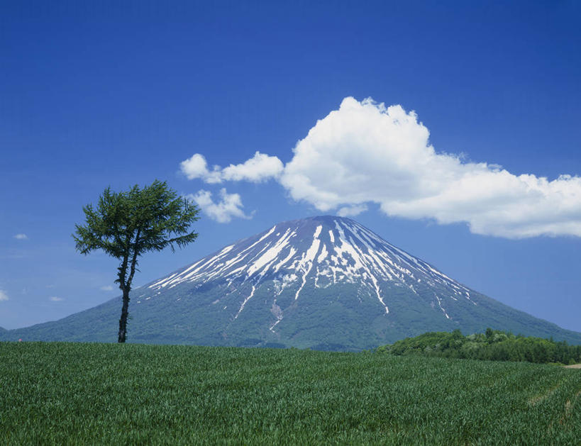 无人,横图,室外,白天,正面,旅游,度假,草地,草坪,火山,美景,山,雪,雪山,植物,大雪,北海道,富士山,日本,亚洲,阴影,光线,影子,冰,积雪,景观,山峰,雪景,云,云朵,冬季,冬天,山峦,云彩,娱乐,草,树,树木,蓝色,绿色,白云,蓝天,天空,阳光,自然,天,享受,休闲,景色,放松,寒冷,生长,晴朗,成长,冰冷,自然风光,东亚,日本国,北海道地方,北海道岛,严寒,冰凉,酷寒,凛冽,凛凛,极冷,虻田郡,活火山,晴空,彩图,胆振综合振兴局,后志综合振兴局,振兴局,二世古町,二世谷町,胆振支厅,道央