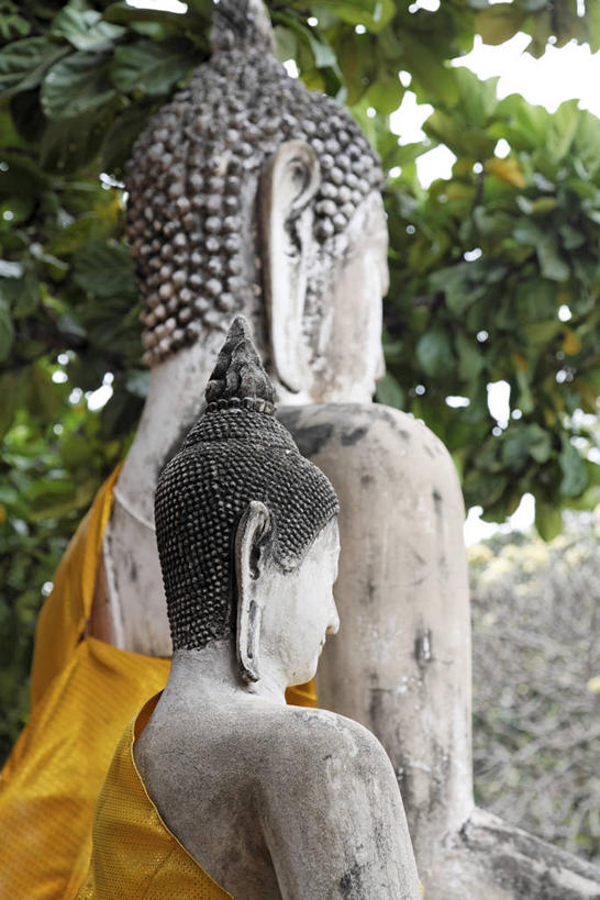 无人,竖图,室外,白天,仰视,旅游,度假,石头,名胜古迹,植物,标志建筑,地标,建筑,雕塑,泰国,亚洲,阴影,节日,遗迹,艺术,装饰,光线,雕刻,雕像,石子,影子,古迹,文化,文物,娱乐,建设,古建筑,石雕,大城,废墟,树,树木,绿色,阳光,自然,工艺品,祈祷,享受,休闲,健康,旅游胜地,放松,许愿,宗教,东南亚,佛教,信仰,生长,成长,纪念,祈求,美术,主题,陈列,古文明,泰王国,功能,美学,两尊,释教,阿育他耶府,大城府,平安,石块,岩石,彩图,低角度拍摄