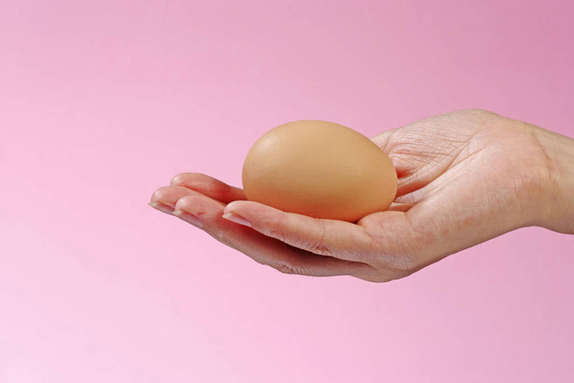 东方人,手,一个人,捧,横图,室内,特写,白天,侧面,亚洲,仅一个年轻女性,仅一个女性,仅一个人,阴影,粉色背景,反射,影子,蛋,鸡蛋,一颗,黄种人,手部,摄影,影棚,单手,草鸡蛋,卵,年轻女性,女人,女性,亚洲人,端,端着,捧着,手捧,半身,彩图,影棚拍摄,拍摄,本鸡蛋,笨鸡蛋,柴鸡蛋,山鸡蛋,土鸡蛋
