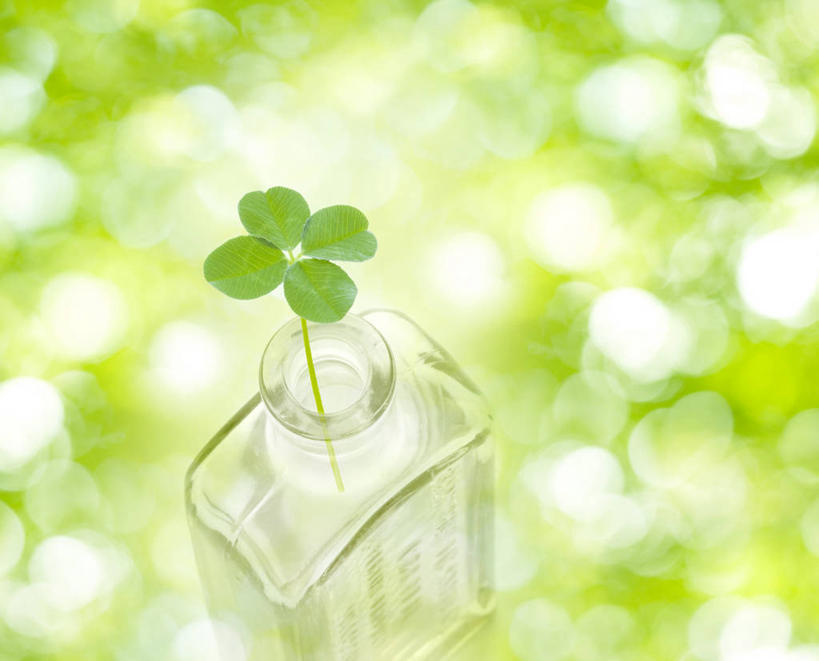 无人,横图,室内,特写,白天,正面,自由,数码,科技,叶子,阴影,朦胧,模糊,网络,罐子,绿叶,四叶草,高光,几何,计算机图形,合成,玻璃制品,幸运草,玻璃瓶,瓶子,嫩叶,电脑合成图,数码合成图,合成图,和平,写实,具体,具象,牛角花,统一,团结,幸运,叶,叶片,彩图