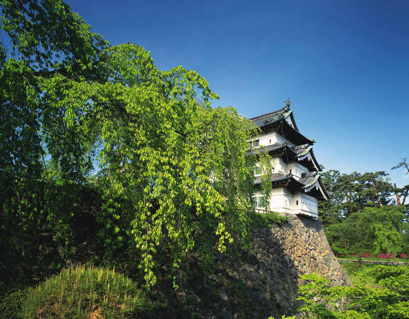 无人,横图,室外,白天,仰视,旅游,度假,名胜古迹,树林,植物,标志建筑,地标,建筑,日本,亚洲,阴影,遗迹,光线,瓦片,影子,堡垒,城堡,屋顶,顶棚,瓦,古迹,文物,娱乐,建设,古建筑,树,树木,蓝色,绿色,蓝天,天空,阳光,自然,天,享受,休闲,旅游胜地,放松,建造,生长,晴朗,成长,要塞,古文明,东亚,屋瓦,本州,万里无云,本州岛,日本国,青森,青森县,东北地方,弘前,弘前市,弘前城,鹰冈城,设防,晴空,晴空万里,彩图,低角度拍摄