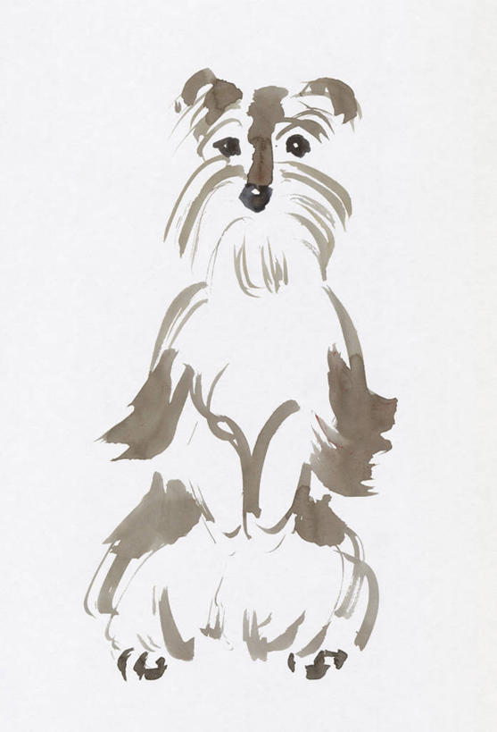 无人,坐,竖图,室内,白天,白色背景,正面,绘画,宠物,狗,艺术,梗犬,雪纳瑞,古典,迷你雪纳瑞,注视,文化,一只,动物,工艺品,观察,看,品味,可爱,观看,美术,水彩,察看,水彩画,高雅,关注,雪纳瑞犬,髯犬,忠诚,美学,雪纳瑞狗,犬,坐着,彩图,全身