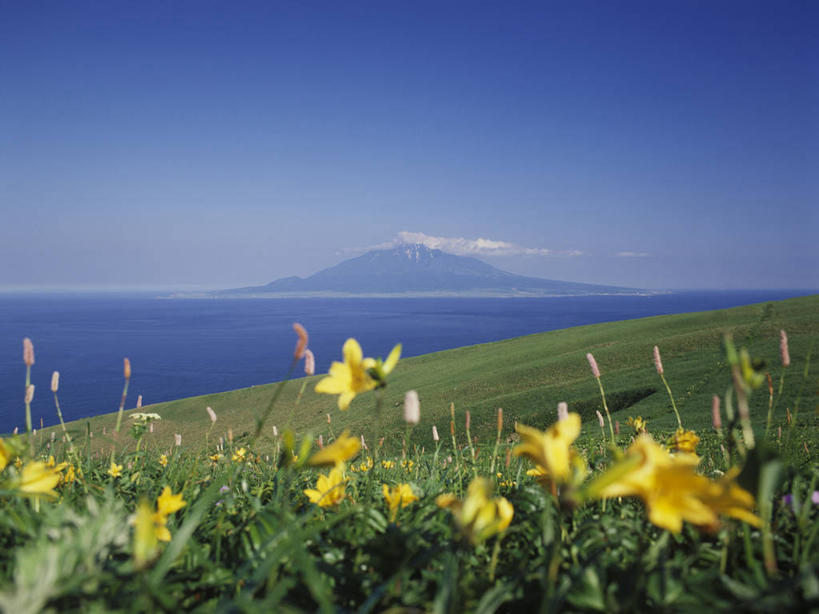无人,横图,室外,白天,正面,旅游,度假,草地,草坪,海浪,海洋,美景,山,山脉,植物,北海道,日本,亚洲,阴影,盛开,光线,影子,景观,浪花,山峰,山峦,花蕾,娱乐,草,花,花瓣,花朵,鲜花,黄色,蓝色,绿色,蓝天,天空,阳光,自然,海水,群山,天,花苞,花蕊,享受,休闲,景色,放松,晴朗,自然风光,海景,东亚,万里无云,日本国,北海道地方,北海道岛,大海,风浪,海,海水的波动,近岸浪,涌浪,晴空,晴空万里,彩图,振兴局,礼文岛,礼文郡,礼文町,宗谷综合振兴局
