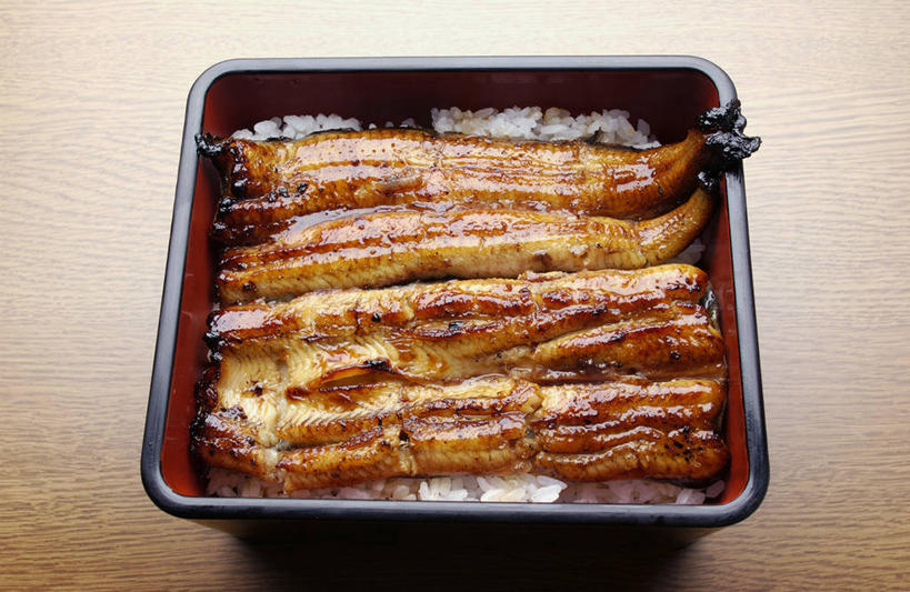 海鲜,盒饭,鳗鱼,无人,横图,俯视,室内,特写,白天,烹饪,鳗鲡,许多,阴影,反射,鱼,便当,影子,陶瓷,肉,鱼肉,料理,食品,陶瓷制品,很多,韩式,水产,菜肴,美食,肉类,鱼类,海洋生物,食物,一个,容器,碗,便捷,摄影,佳肴,影棚,单个,储藏,便利,储存,水生动物,烤鳗鱼,海产品,韩国料理,水生物,肉食,海底动物,韩国菜,韩式料理,快捷,弁当,彩图,高角度拍摄,影棚拍摄,拍摄,贮存