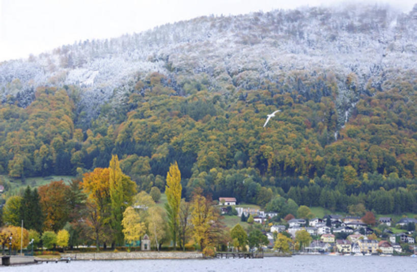 无人,家,横图,室外,白天,正面,旅游,度假,美景,森林,山,山脉,树林,植物,奥地利,欧洲,阴影,光线,影子,房屋,屋子,景观,山峰,公寓,山峦,娱乐,洋房,楼房,住宅,树,树木,绿色,天空,阳光,自然,群山,天,享受,休闲,景色,放松,生长,成长,自然风光,中欧,奥地利共和国,上奥地利,上奥地利州,彩图,房子,格蒙登县,萨尔茨卡默古特地区圣沃尔夫冈