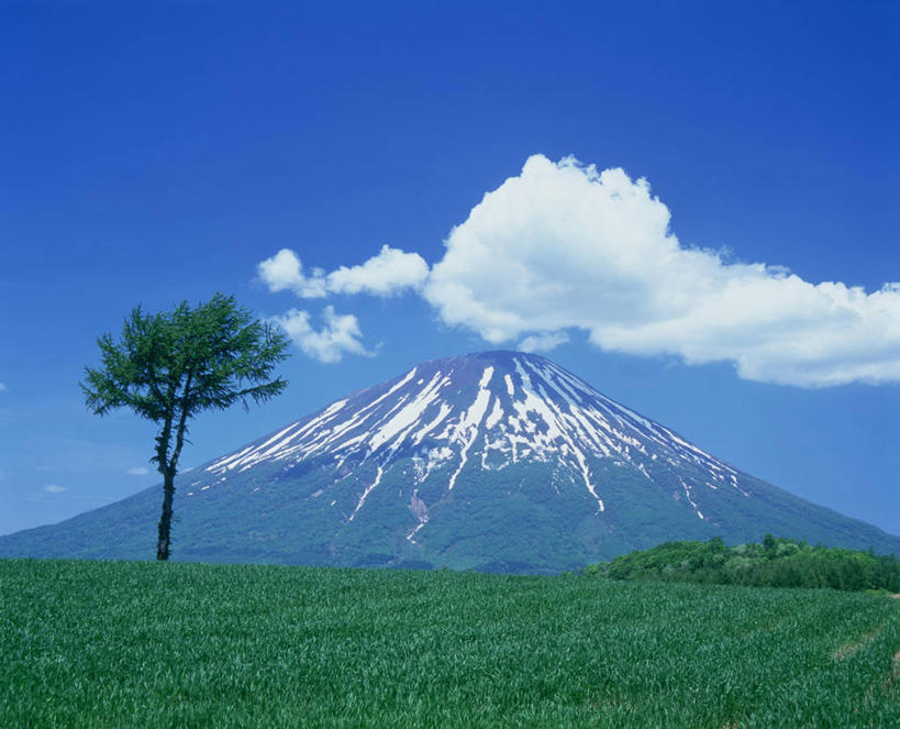 无人,横图,室外,白天,正面,旅游,度假,草地,草坪,火山,美景,山,树林,雪,雪山,植物,大雪,北海道,富士山,日本,亚洲,阴影,光线,影子,冰,积雪,景观,山峰,雪景,云,云朵,冬季,冬天,山峦,云彩,娱乐,草,树,树木,蓝色,绿色,白云,蓝天,天空,阳光,自然,天,享受,休闲,景色,放松,寒冷,生长,晴朗,成长,冰冷,自然风光,东亚,日本国,北海道地方,北海道岛,严寒,冰凉,酷寒,凛冽,凛凛,极冷,虻田郡,活火山,晴空,彩图,胆振综合振兴局,后志综合振兴局,振兴局,二世古町,二世谷町,胆振支厅,道央