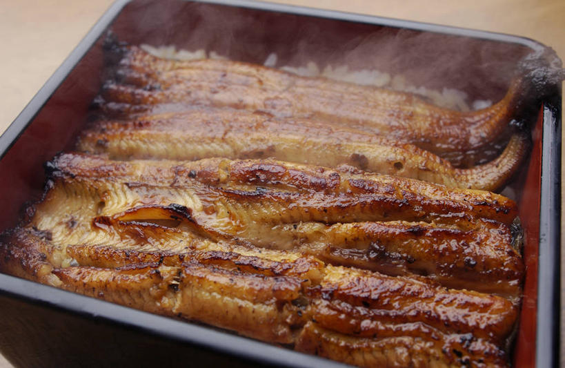 海鲜,鳗鱼,无人,横图,俯视,室内,特写,白天,烹饪,雾,鳗鲡,沸腾,朦胧,模糊,蒸汽,鱼,陶瓷,肉,鱼肉,日本料理,料理,食品,陶瓷制品,水蒸气,水产,菜肴,美食,肉类,鱼类,海洋生物,食物,一个,容器,碗,日式料理,日式,佳肴,单个,储藏,储存,水生动物,烤鳗鱼,海产品,水生物,肉食,海底动物,蒸发,彩图,高角度拍摄,贮存