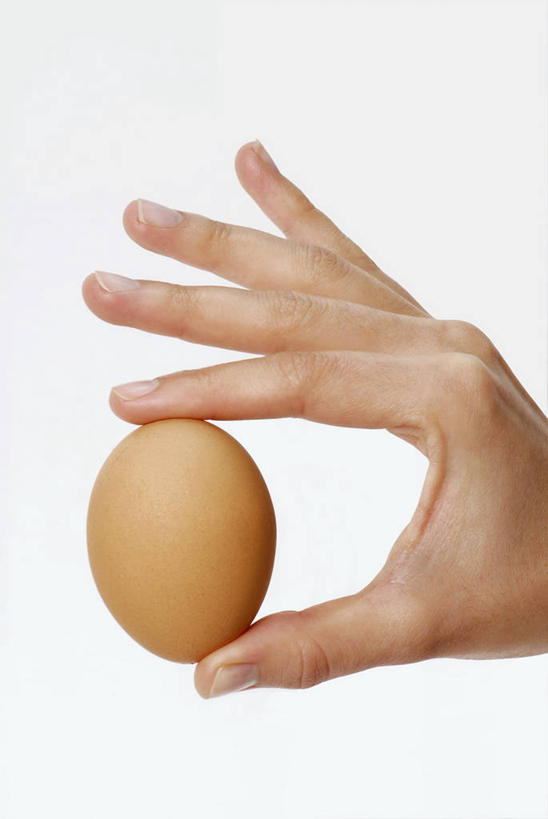 西方人,手,一个人,竖图,室内,特写,白天,白色背景,侧面,欧洲,欧洲人,仅一个年轻女性,仅一个女性,仅一个人,握,蛋,鸡蛋,一颗,拿,拿着,手部,握着,摄影,影棚,单手,草鸡蛋,卵,年轻女性,女人,女性,白种人,半身,彩图,影棚拍摄,拍摄