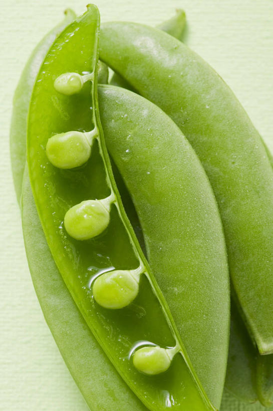 无人,竖图,俯视,室内,特写,白天,植物,餐桌,桌子,蔬菜,许多,阴影,新鲜,反射,影子,豆类,豆子,豌豆,食品,荷兰豆,食物,绿色,摄影,有机食品,绿色食品,影棚,餐台,雪豆,豆科,寒豆,毕豆,麻累,国豆,小寒豆,麦豌豆,彩图,高角度拍摄,影棚拍摄,拍摄
