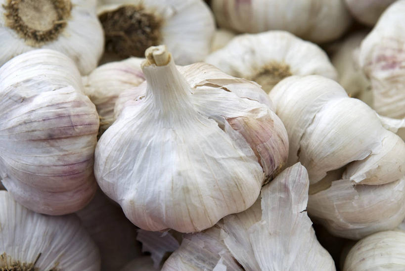 无人,横图,俯视,室内,特写,白天,餐桌,桌子,蔬菜,蒜,一堆,许多,阴影,堆叠,堆积,新鲜,反射,影子,食品,很多,蒜头,食物,白色,有机食品,绿色食品,餐台,堆,胡蒜,大蒜,彩图,高角度拍摄
