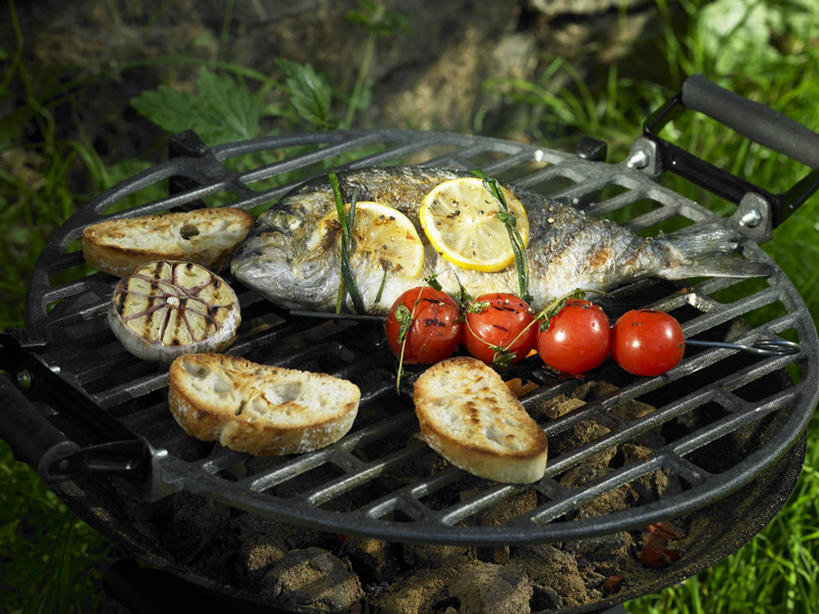 无人,横图,俯视,室外,特写,白天,烧烤,草地,草坪,植物,柠檬,蔬菜,西红柿,小番茄,水果,阴影,朦胧,模糊,新鲜,光线,影子,肉,生食,鱼肉,食品,果实,烤架,烤肉,鲷鱼,蔬果,肉类,草,食物,绿色,阳光,铁架,有机食品,绿色食品,鲷,加吉鱼,铜盆鱼,肉食,班加吉,加真鲷,小西红柿,樱桃小番茄,珍珠小番茄,益母果,柠果,樱桃番茄,圣女果,番茄,彩图,高角度拍摄