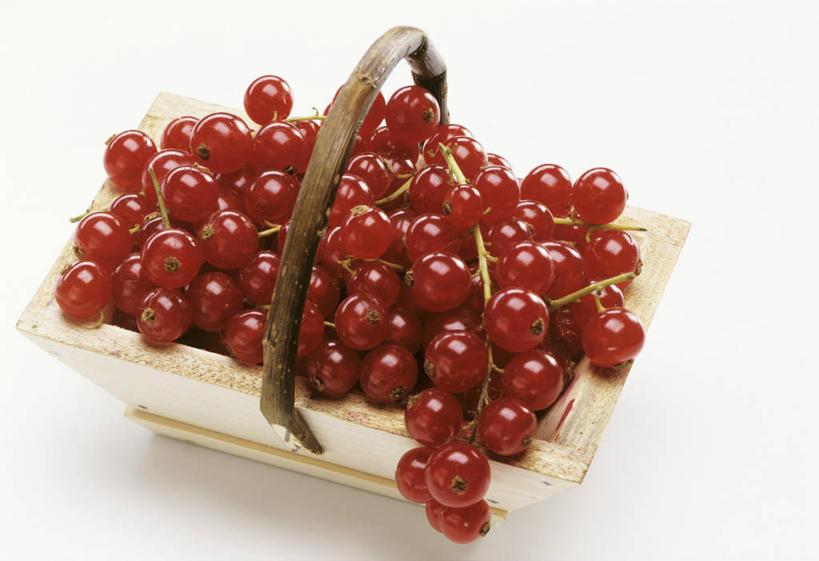 无人,交叉,横图,俯视,室内,特写,白天,白色背景,餐桌,桌子,竹子,浆果,水果,一堆,许多,阴影,堆叠,堆积,竹制,新鲜,编织,反射,篮子,影子,灯笼果,生食,食品,果实,很多,食物,一个,红色,竹篮,摄影,有机食品,绿色食品,影棚,单个,餐台,竹条,堆,交织,竹制品,红醋栗,穿插,醋栗,彩图,高角度拍摄,影棚拍摄,拍摄