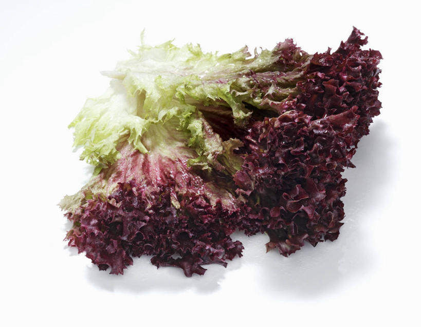 无人,横图,俯视,室内,特写,白天,白色背景,餐桌,桌子,蔬菜,叶子,阴影,新鲜,反射,影子,生菜,莴苣,食品,绿叶,食物,紫色,嫩叶,摄影,有机食品,绿色食品,影棚,餐台,春菜,鹅仔菜,莴仔菜,千金菜,叶用莴苣,叶,叶片,彩图,高角度拍摄,影棚拍摄,拍摄