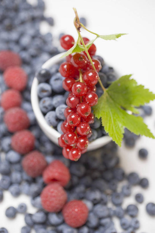 无人,竖图,俯视,室内,特写,白天,餐桌,桌子,浆果,蓝莓,水果,叶子,一堆,许多,阴影,堆叠,堆积,朦胧,模糊,新鲜,反射,影子,陶瓷,灯笼果,生食,食品,果实,绿叶,陶瓷制品,很多,食物,一个,红色,蓝色,容器,碗,嫩叶,有机食品,绿色食品,单个,餐台,储藏,堆,储存,山莓,树莓,红醋栗,三月泡,四月泡,山抛子,刺葫芦,悬钩子,馒头菠,高脚菠,龙船泡,泡儿刺,叶,叶片,山都柿,蓝浆果,蓝靛果,醋栗,彩图,高角度拍摄,贮存