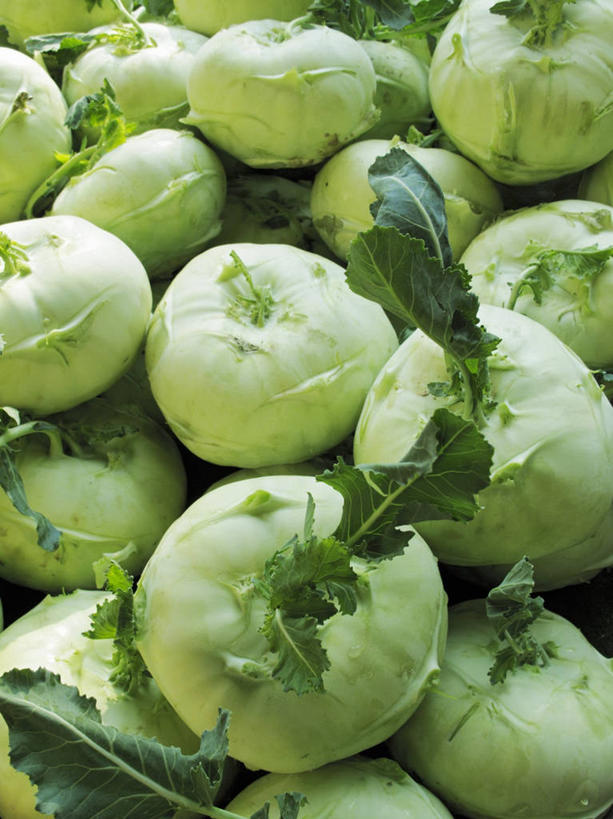 无人,菜场,竖图,俯视,室内,特写,白天,购物,消费,蔬菜,叶子,一堆,许多,阴影,堆叠,堆积,新鲜,反射,影子,食品,绿叶,集市,市场,很多,食物,绿色,嫩叶,芥菜,金融,有机食品,绿色食品,堆,选购,贸易,大头菜,盖菜,菜市,叶,叶片,彩图,高角度拍摄,菜市场