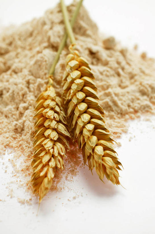 无人,竖图,俯视,室内,特写,白天,白色背景,农作物,小麦,餐桌,桌子,一堆,阴影,堆叠,堆积,朦胧,模糊,反射,粉末,影子,谷物,面粉,粮食,金色,粉,摄影,麦子,影棚,餐台,堆,农产品,原材料,粉状,彩图,高角度拍摄,影棚拍摄,拍摄