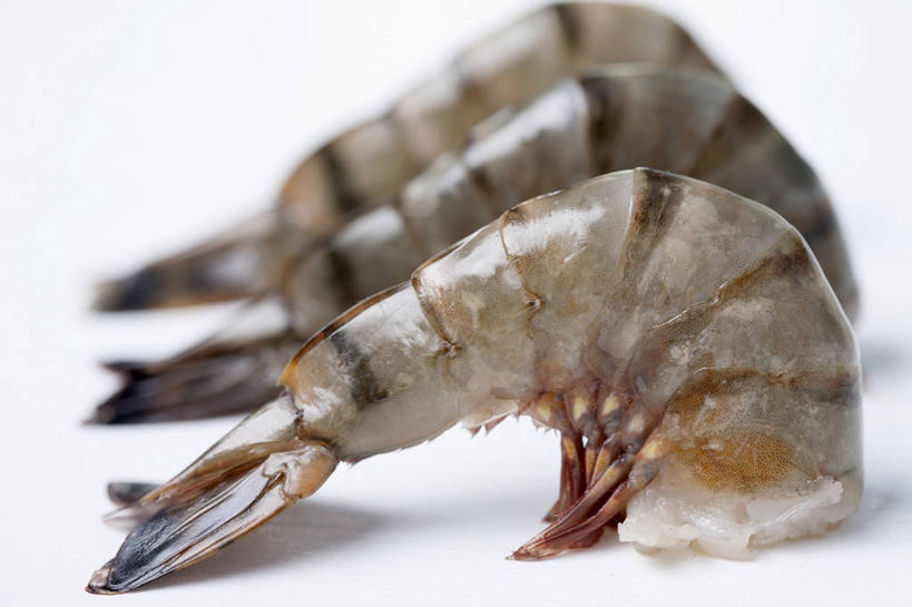 海鲜,无人,横图,俯视,室内,特写,白天,白色背景,餐桌,桌子,三只,一排,阴影,朦胧,模糊,整齐,反射,影子,虾,水产,大虾,海洋生物,排列,摄影,影棚,对虾,餐台,队列,水生动物,海产品,水生物,海底动物,斑节虾,东方对虾,中国对虾,彩图,高角度拍摄,影棚拍摄,拍摄