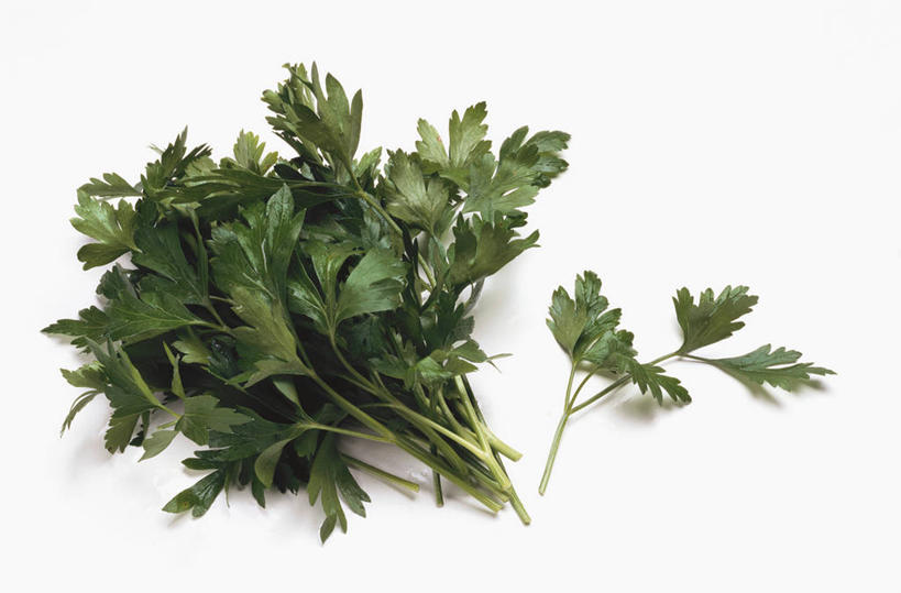 无人,横图,俯视,室内,特写,白天,白色背景,餐桌,桌子,芹菜,蔬菜,叶子,阴影,新鲜,反射,影子,食品,绿叶,食物,绿色,嫩叶,摄影,有机食品,绿色食品,荷兰芹,欧芹,香芹,影棚,餐台,法香,巴西利,洋香菜,洋芫荽,法国香菜,旱芹菜,番荽,叶,叶片,彩图,高角度拍摄,影棚拍摄,拍摄