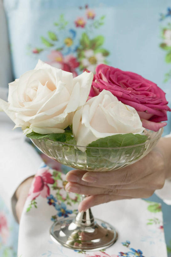 西方人,手,一个人,竖图,俯视,室内,特写,白天,爱情,幸福,纯洁,热情,玫瑰,杯子,叶子,欧洲,欧洲人,双手,仅一个年轻女性,仅一个女性,仅一个人,握,阴影,服装,朦胧,模糊,盛开,反射,影子,绿叶,玫瑰花,浪漫,花蕾,休闲装,玻璃制品,花,花瓣,花朵,鲜花,衣服,粉色,白色,水杯,花苞,花蕊,休闲,温暖,温馨,手部,休闲服,嫩叶,恩爱,握着,服饰,和睦,感动,尊敬,天真,刺玫花,徘徊花,年轻女性,女人,女性,白种人,叶,叶片,玻璃杯,半身,彩图,高角度拍摄,融洽