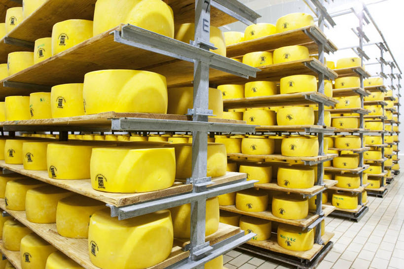 奶酪,无人,横图,室内,白天,正面,地板,一排,许多,阴影,整齐,反射,影子,干酪,起司,地面,芝士,营养,置物架,木地板,架子,排列,黄色,乳酪,乳制品,队列,陈列架,发酵,搁架,彩图