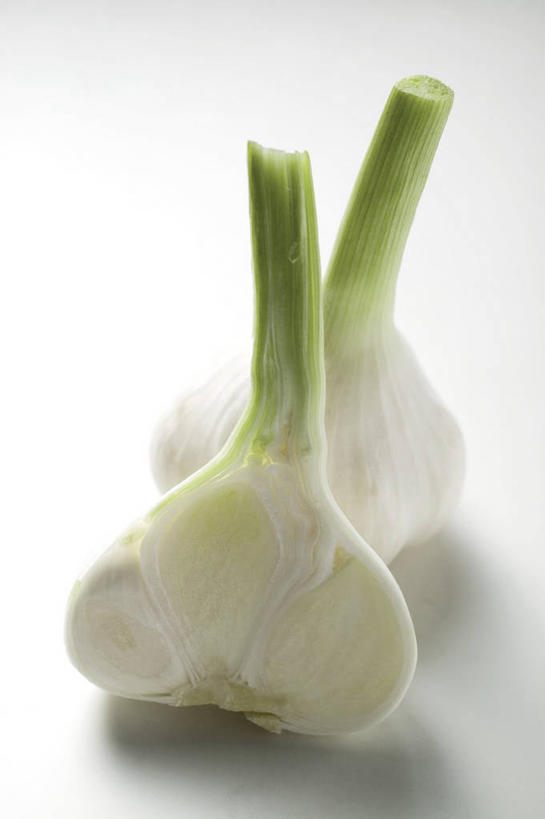 无人,竖图,俯视,室内,特写,白天,白色背景,餐桌,桌子,蔬菜,蒜,阴影,新鲜,反射,影子,食品,蒜头,食物,两个,白色,摄影,有机食品,绿色食品,影棚,餐台,胡蒜,大蒜,彩图,高角度拍摄,影棚拍摄,拍摄