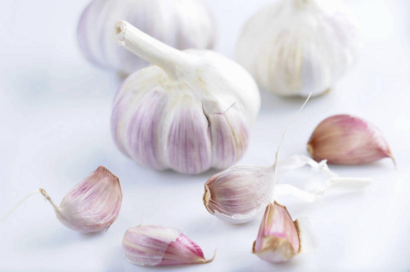 无人,横图,俯视,室内,特写,白天,白色背景,餐桌,桌子,蔬菜,蒜,许多,阴影,朦胧,模糊,新鲜,反射,影子,调味,香料,佐料,食品,蒜头,食物,摄影,有机食品,绿色食品,影棚,餐台,配料,作料,胡蒜,大蒜,彩图,高角度拍摄,影棚拍摄,拍摄