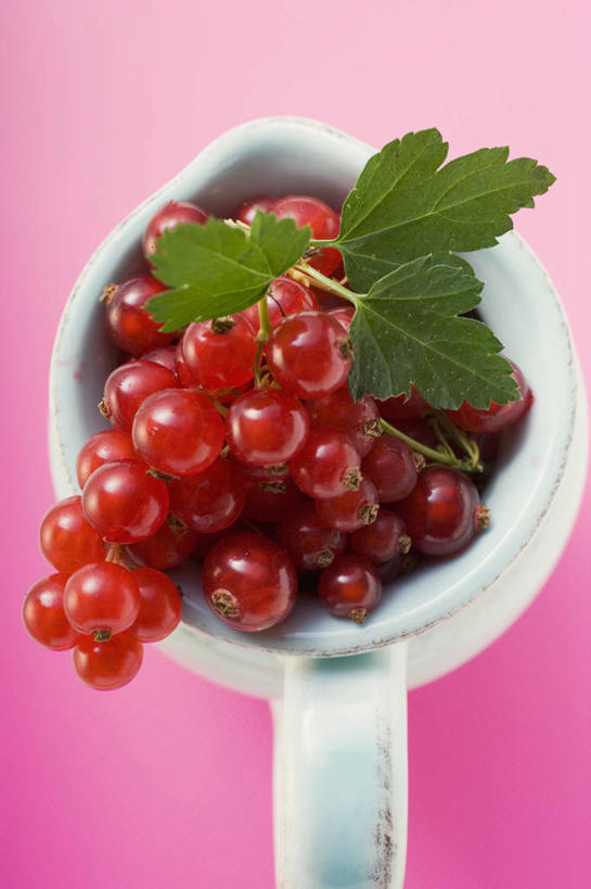 无人,竖图,俯视,室内,特写,白天,餐桌,桌子,浆果,水果,叶子,一堆,许多,阴影,堆叠,堆积,粉色背景,新鲜,反射,影子,陶瓷,灯笼果,生食,食品,果实,绿叶,陶瓷制品,食物,一个,红色,白色,容器,碗,嫩叶,摄影,有机食品,绿色食品,影棚,单个,餐台,储藏,堆,储存,红醋栗,叶,叶片,醋栗,彩图,高角度拍摄,影棚拍摄,拍摄,贮存