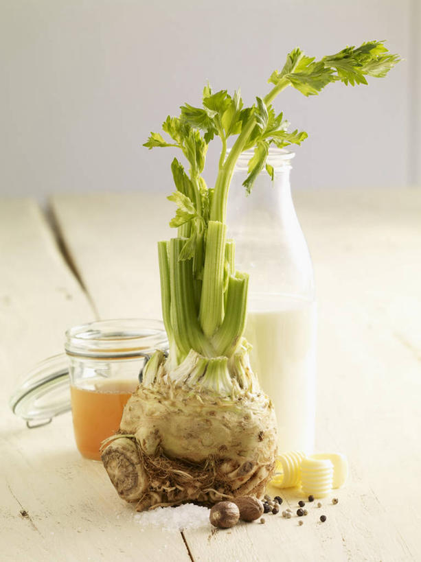 牛奶,无人,竖图,室内,特写,白天,正面,植物,桌面,桌子,芹菜,蔬菜,叶子,阴影,新鲜,反射,木制,影子,调料,香料,盐,食品,绿叶,草药,药草,饮品,调味品,营养,调味料,中药,食盐,玻璃制品,食物,饮料,玻璃瓶,木制品,瓶子,嫩叶,摄影,有机食品,绿色食品,影棚,肉豆蔻,乳制品,奶,牛乳,药材,中草药,肉蔻,肉果,玉果,中药材,本草,根芹菜,根洋芹,球根塘蒿,安神,消食,叶,叶片,药芹,水芹,旱芹,彩图,影棚拍摄,拍摄