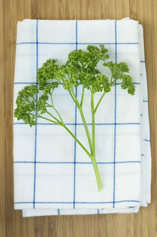 无人,竖图,俯视,室内,特写,白天,桌面,桌子,芹菜,蔬菜,叶子,纺织品,阴影,新鲜,反射,木制,布,影子,食品,绿叶,织物,抹布,食物,木制品,嫩叶,有机食品,绿色食品,荷兰芹,欧芹,香芹,法香,巴西利,洋香菜,洋芫荽,法国香菜,旱芹菜,番荽,叶,叶片,彩图,高角度拍摄