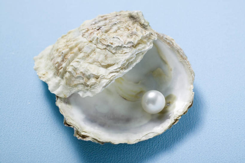 海鲜,无人,横图,俯视,室内,特写,白天,幸福,纯洁,餐桌,桌子,阴影,蓝色背景,反射,影子,珍珠,牡蛎,水产,海洋生物,一个,白色,健康,摄影,影棚,单个,餐台,生蚝,贵重,珍贵,富有,水生动物,海产品,水生物,海底动物,宝贵,有机宝石,彩图,高角度拍摄,影棚拍摄,拍摄