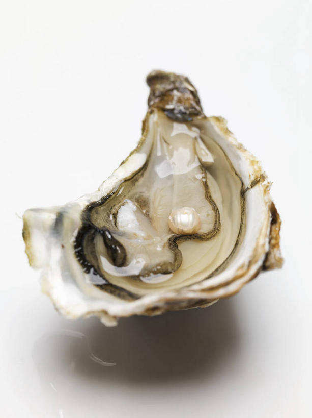 海鲜,无人,竖图,俯视,室内,特写,白天,白色背景,幸福,纯洁,桌面,桌子,阴影,反射,木制,影子,珍珠,牡蛎,水产,海洋生物,一个,木制品,健康,摄影,影棚,单个,生蚝,贵重,珍贵,富有,水生动物,海产品,水生物,海底动物,宝贵,有机宝石,彩图,高角度拍摄,影棚拍摄,拍摄