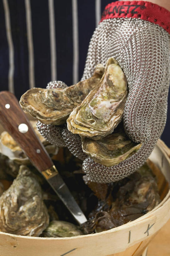 海鲜,西方人,手,一个人,竖图,俯视,室内,特写,白天,安全,欧洲,欧洲人,仅一个男性,仅一个人,仅一个中年男性,一把,一堆,握,堆叠,堆积,工具,陶瓷,刀具,防护,陶瓷制品,牡蛎,拿,拿着,水产,海洋生物,容器,手套,碗,刀,手部,握着,储藏,堆,保护,单手,生蚝,储存,水生动物,海产品,保险,水生物,海底动物,牡蛎刀,保全,周全,安稳,安定,防护手套,平安,男人,男性,中年男性,白种人,半身,彩图,高角度拍摄,贮存