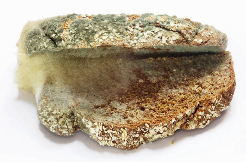 点心,面包,无人,横图,俯视,室内,特写,白天,白色背景,餐桌,桌子,阴影,发霉,朦胧,模糊,反射,影子,食品,面点,破坏,破损,食物,糕点,黑面包,摄影,影棚,餐台,损坏,全麦面包,麸皮面包,彩图,高角度拍摄,影棚拍摄,拍摄