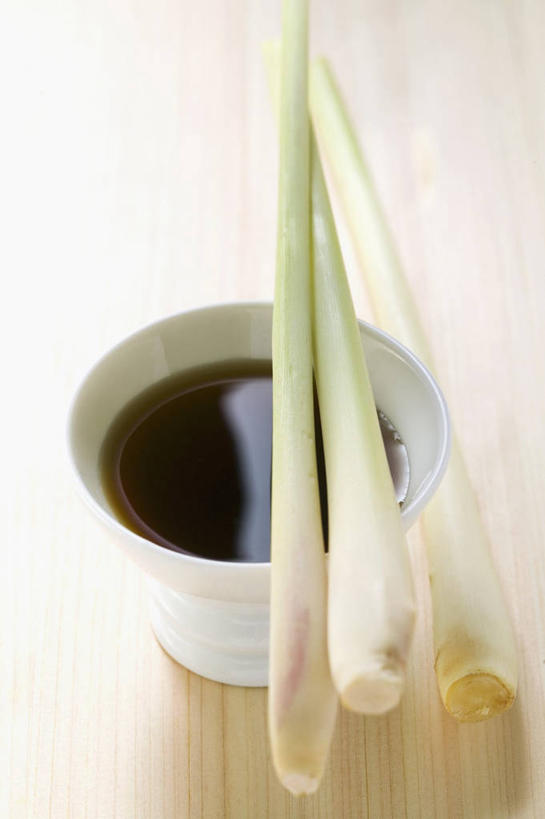 无人,竖图,俯视,室内,特写,白天,餐桌,桌子,阴影,反射,影子,陶瓷,调料,调味,香料,佐料,陶瓷制品,调味品,调味料,酱油,香茅,柠檬草,一个,白色,容器,碗,摄影,影棚,单个,餐台,储藏,储存,作料,豉油,彩图,高角度拍摄,影棚拍摄,拍摄,贮存